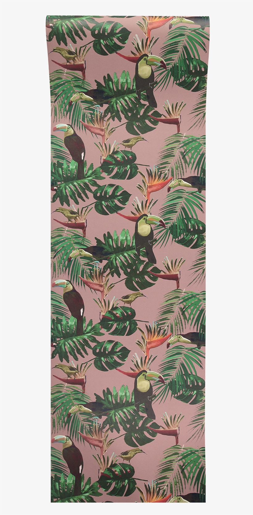 Toucan And Bee Catcher Wallpaper - Graduate Collection, transparent png