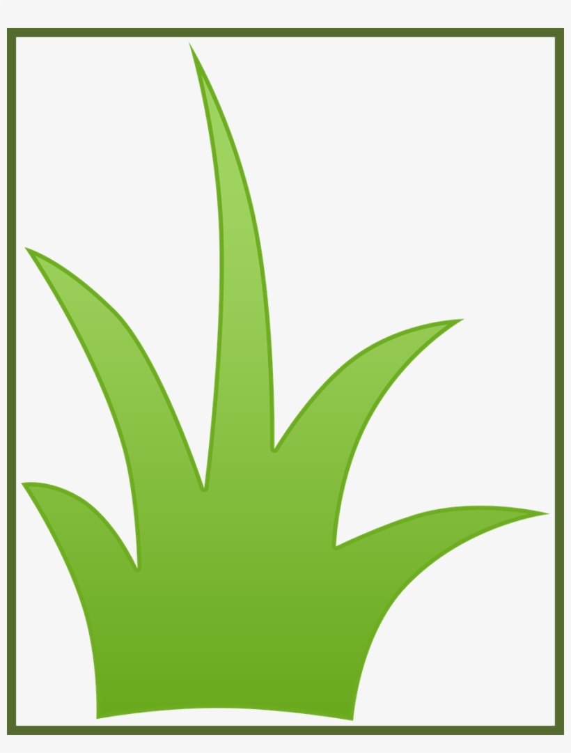 Amazing Watercolor Leaves Pic For Leaf Transparent - Matinho Desenho, transparent png