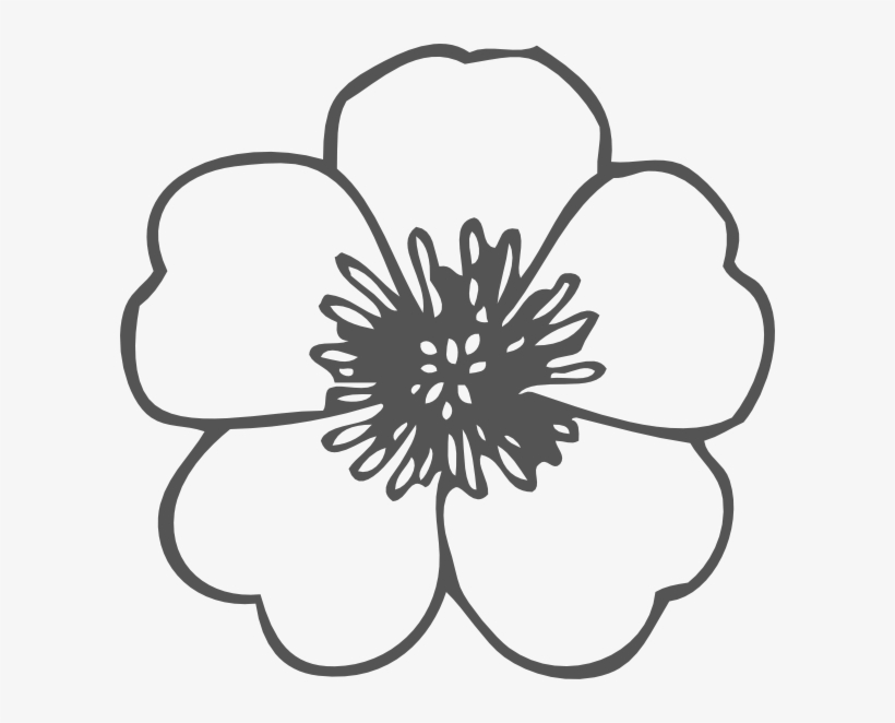 Poppy Clipart Black And White Poppy Black And White - Flower Clip Art Black And White, transparent png