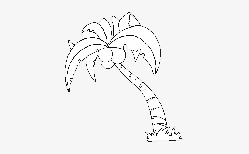 Drawing Coconut Tree 3 - Coconut Tree White Png, transparent png