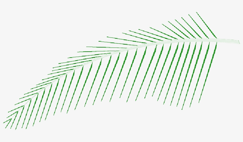Mb Image/png - Coconut, transparent png