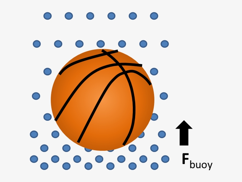 Buoy Ball - Basketball, transparent png