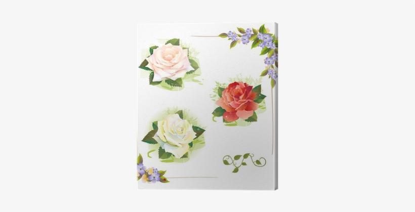 Set Of Roses - Watercolor Painting, transparent png