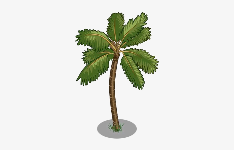 Coconut Trees Icon, transparent png