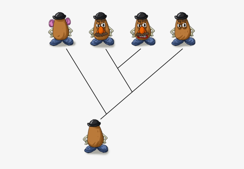 The Evolutionary Change That Occurs Within A Branch - Mr Potato Head Evolution, transparent png
