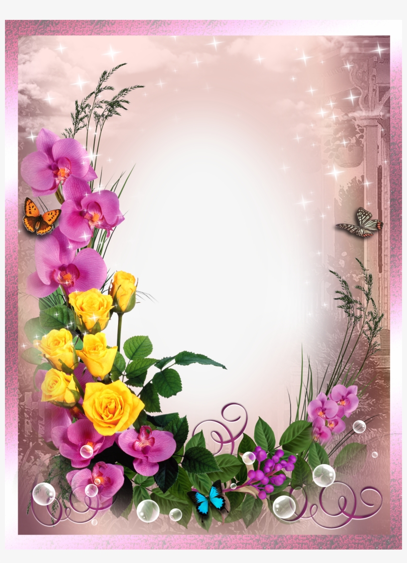Frame With Bird Png Image, Beautiful Printable Frame - Hd Photo Frame Png, transparent png