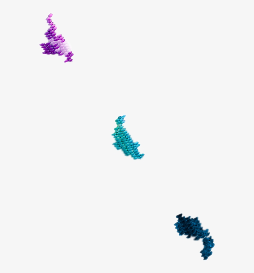 Report Abuse - Seahorse, transparent png