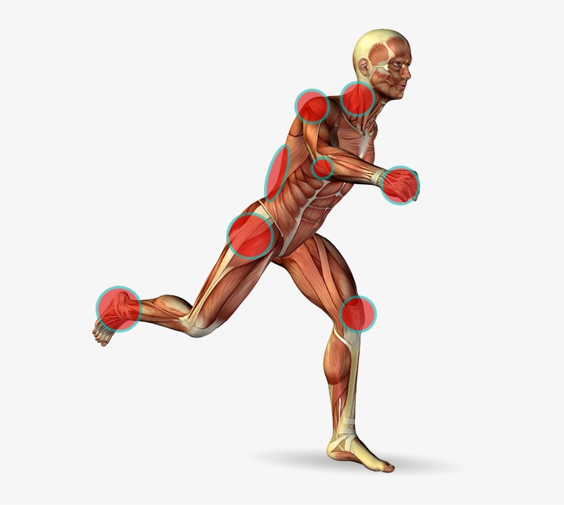 Orthopedic Body, transparent png