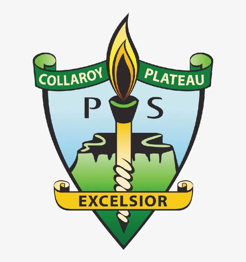 Collaroy Plateau Public School, transparent png