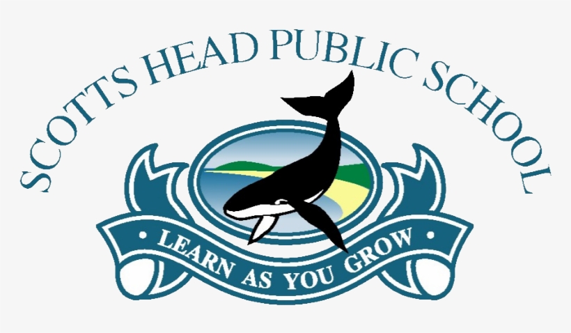 Scotts Head Public School, transparent png
