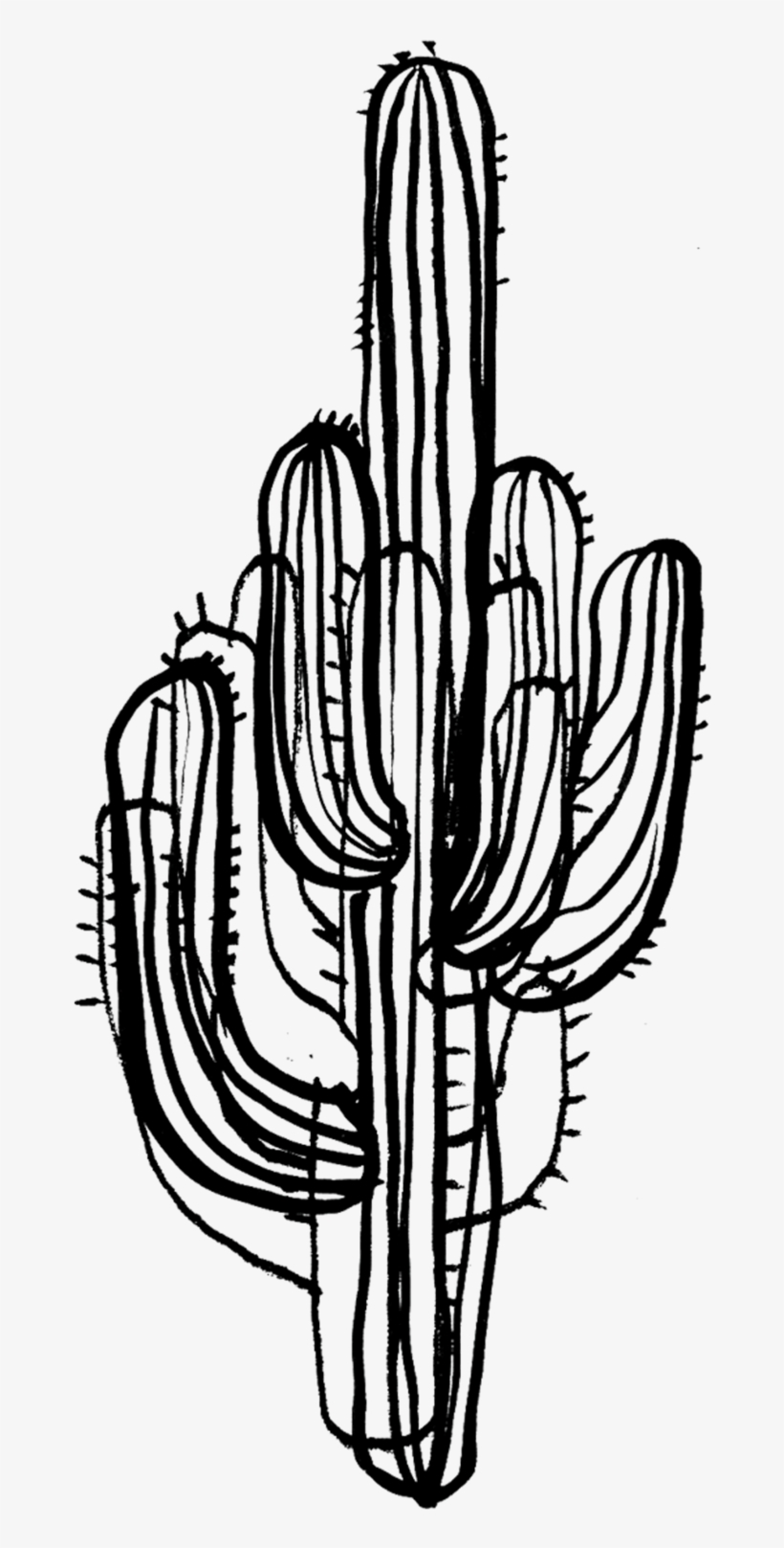 Saguaro Cactus - Cactus Black And White Design, transparent png