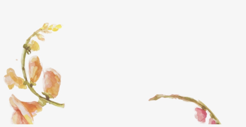 Flower, transparent png