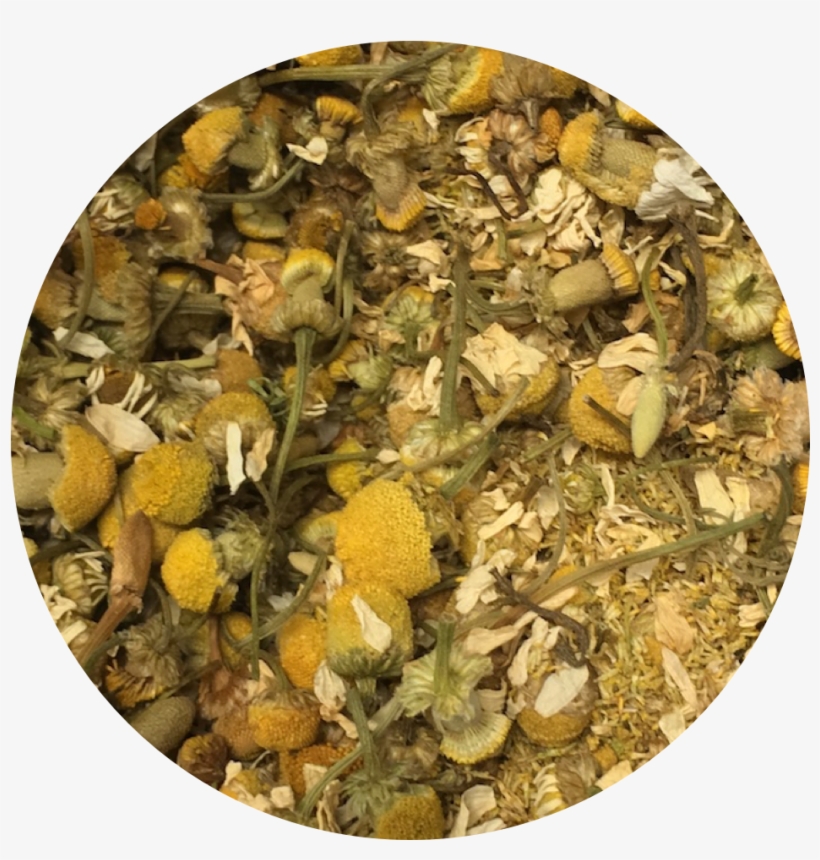 Chamomile, transparent png