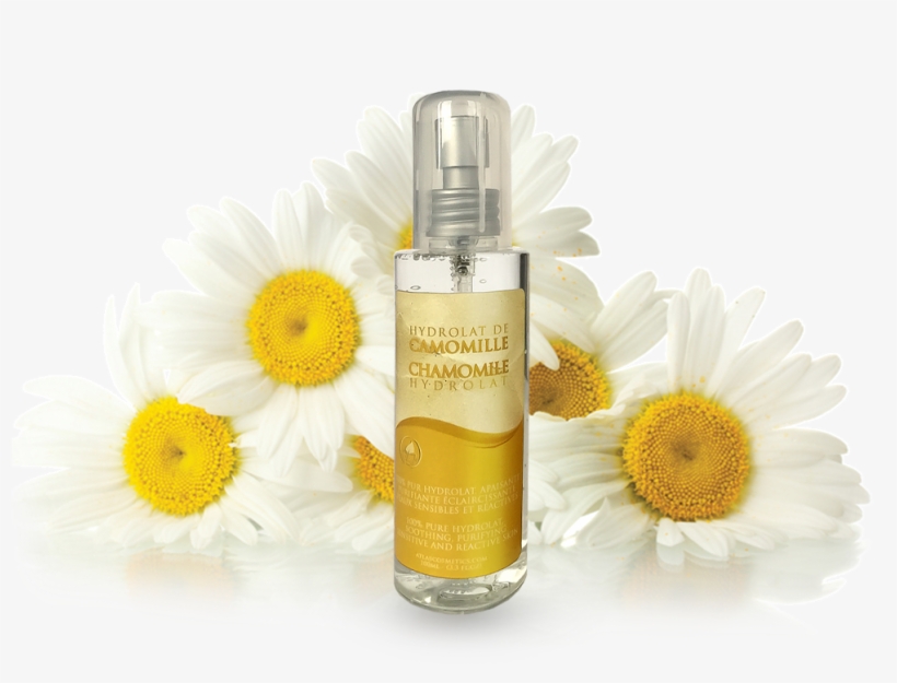 Azoor Camomile Floral Water Hydrolat By Atlas Cosmetics - Chamomile, transparent png