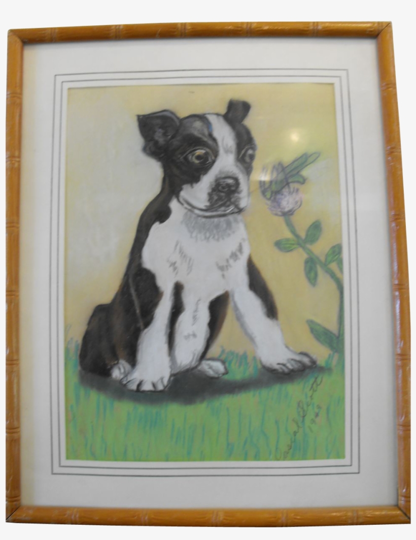 Boston Terrier Pastel Painting Signed Dated - Painting, transparent png