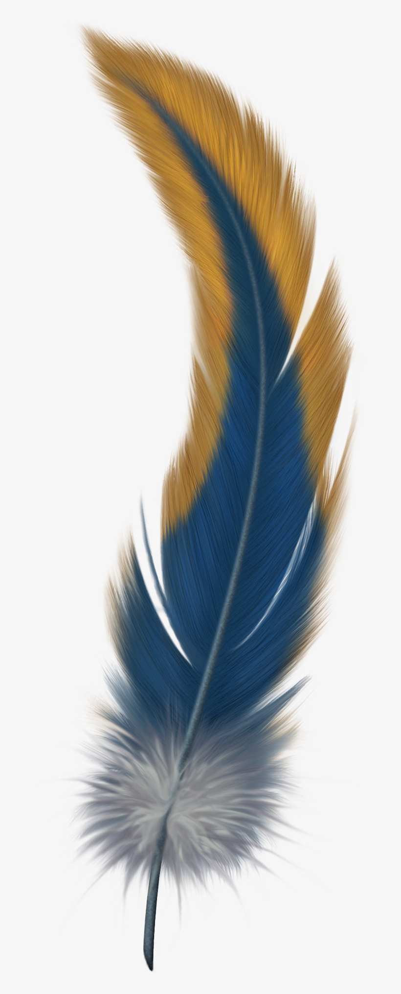 Watercolor Feather, Feather Painting, Feather Art, - Feather Png, transparent png