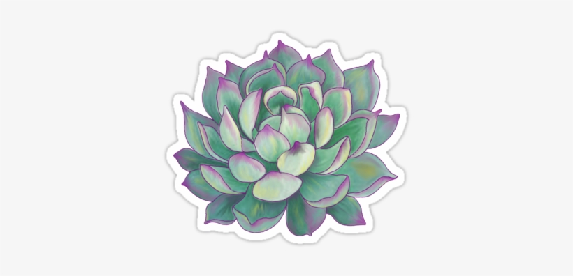 Pencil Drawing 9″×11″sketchbook Paper Coloured On Computer - Cafepress Succulent Plant Tile Coaster, transparent png