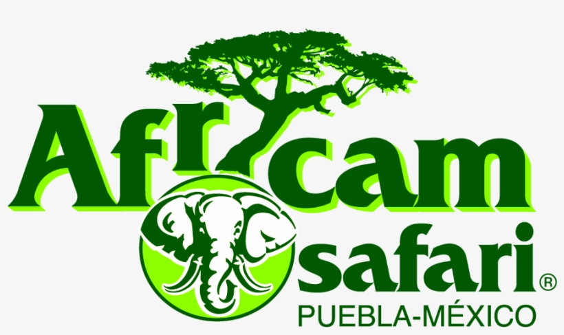 Africam Safari Puebla &187 Placer Y Negocios - African Safari Puebla Logo, transparent png