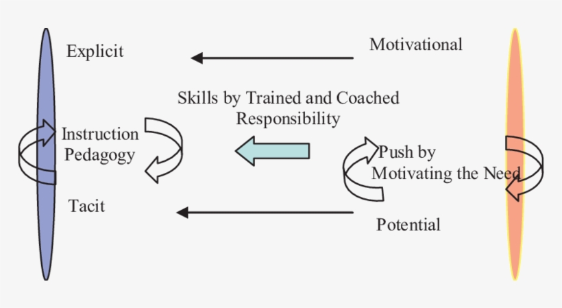 Function Of Tacit And Explicit Education - Halton District School Board, transparent png