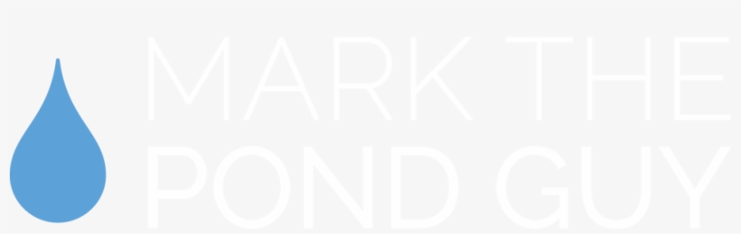 Mtpg Logo White Format=1500w, transparent png