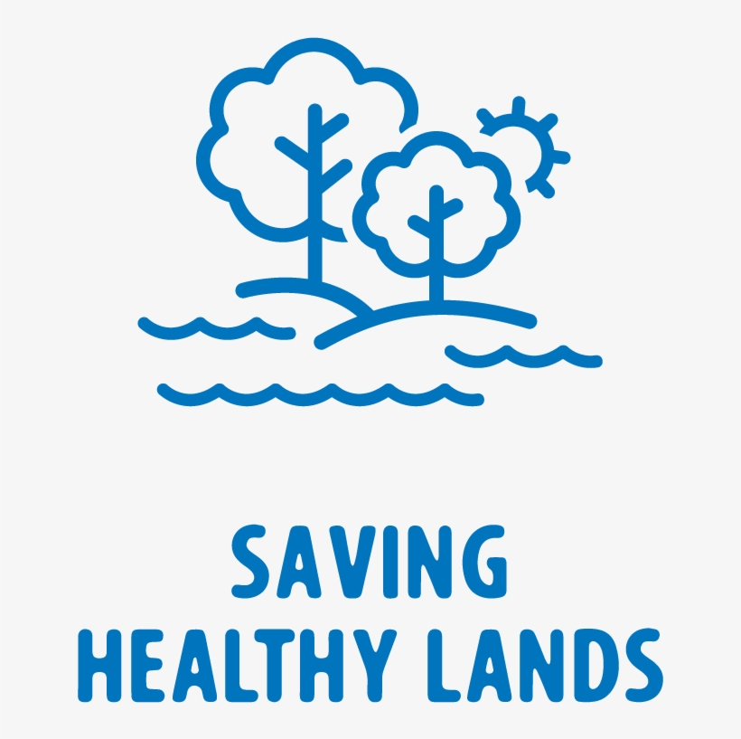 Pc Icon Green Land - Environmental Health Consultancy, transparent png