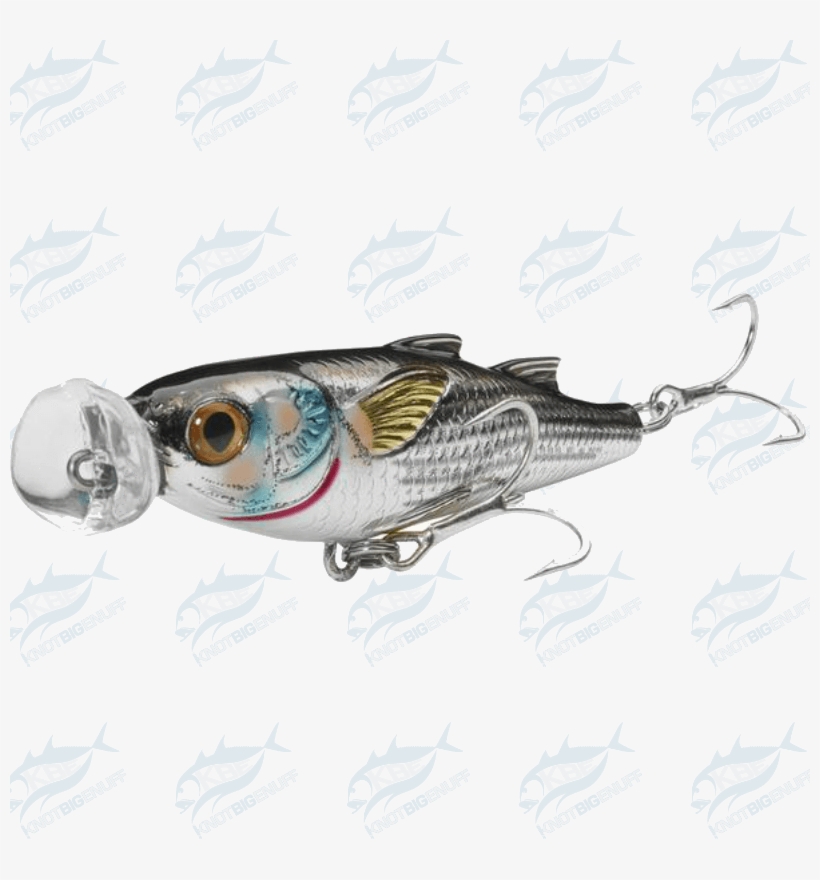 Mullet Popper Mup - Pull Fish Out Of Water, transparent png