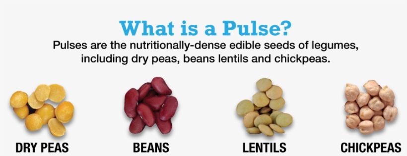About Pulses - Happy 3 Year Anniversary, transparent png