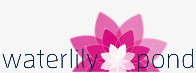 About - Sacred Lotus, transparent png