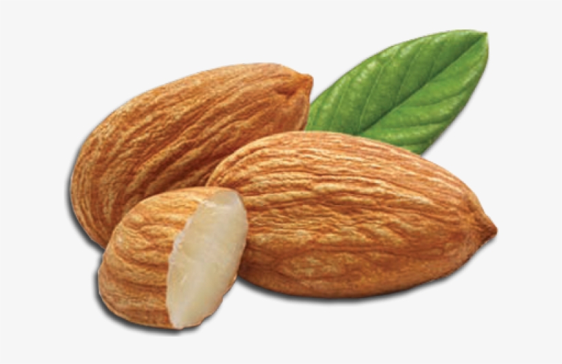 Almond Png Transparent Images - Almond Png Transparent, transparent png