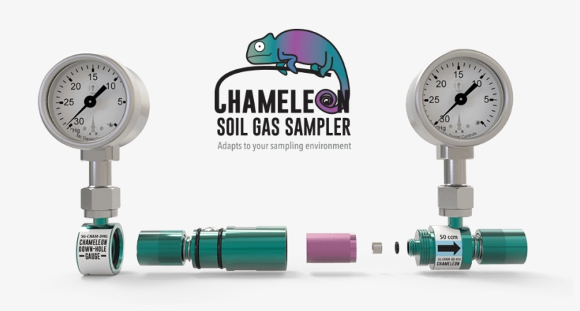 Designed With Feedback From Numerous Sampling Professionals, - Turtle, transparent png