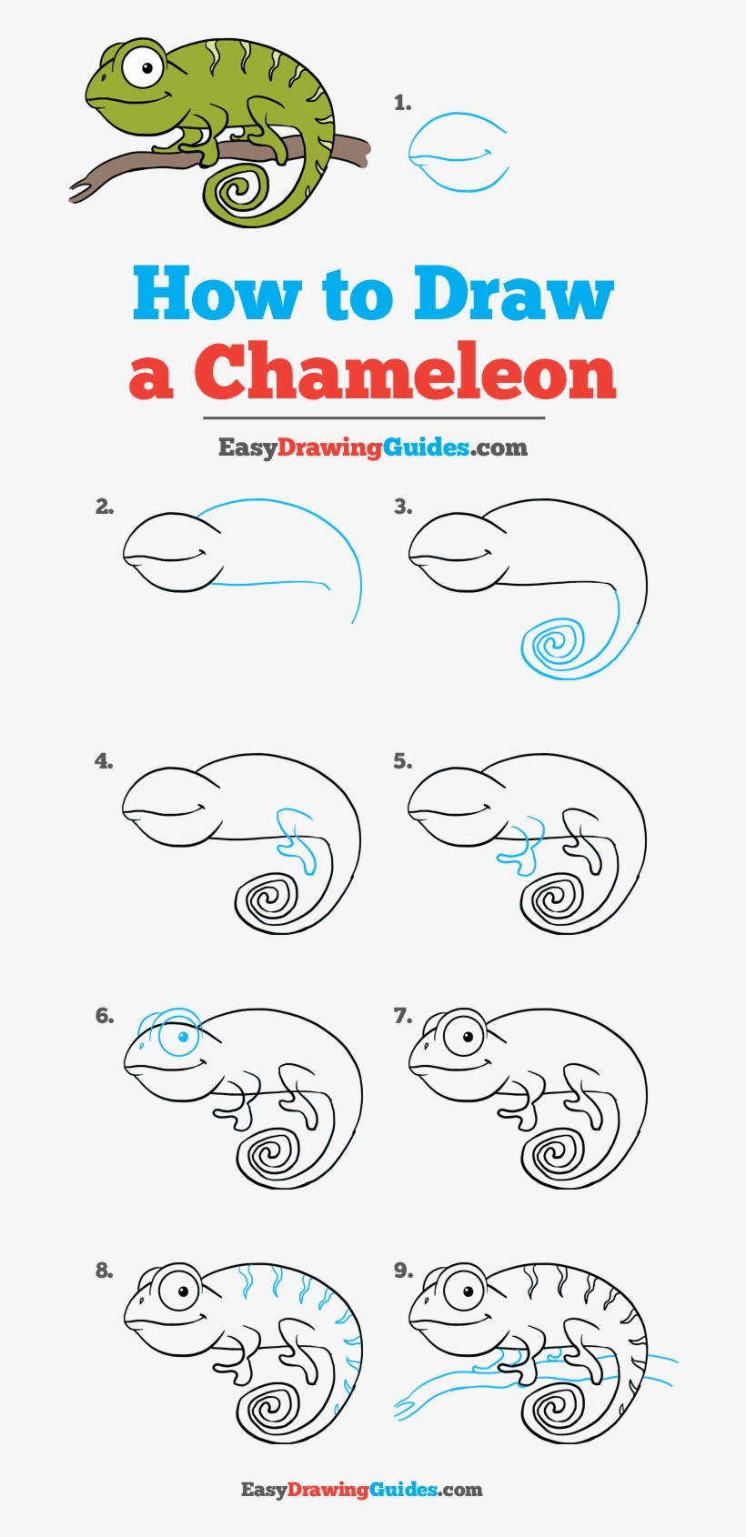 How To Draw A Chameleon With How To Draw A Chameleon Draw A Chameleon