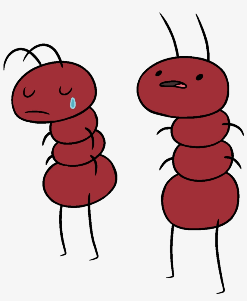Adventure Time Ants - Hormiga Hora De Aventura, transparent png