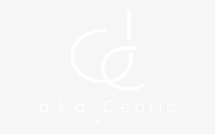 Logo Logo Logo Logo Logo - Twitter White Bird Logo, transparent png