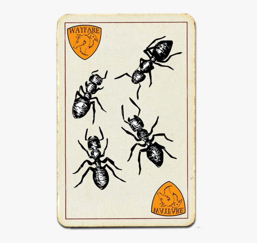 Carpenter Ants - Beetle, transparent png