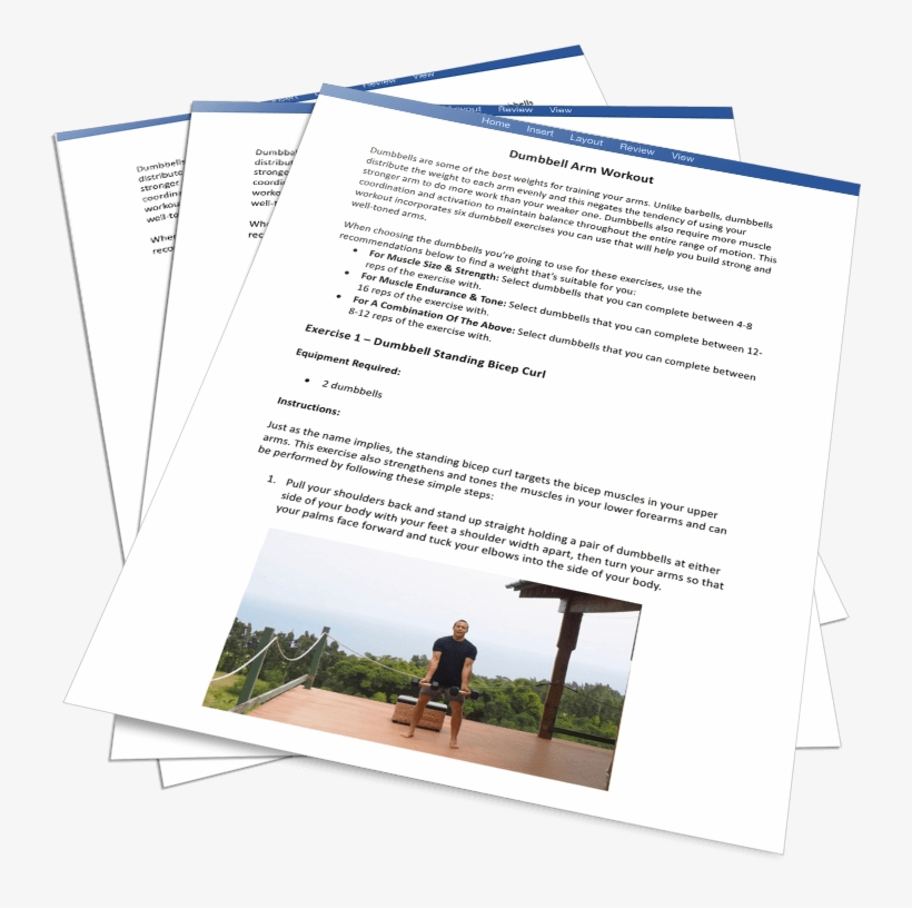Muscle Building Dumbbell Workouts Plr Ebook With Exercise - Brochure, transparent png