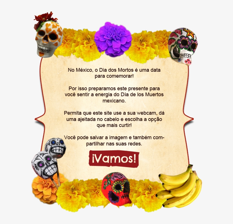 Floral Design, transparent png