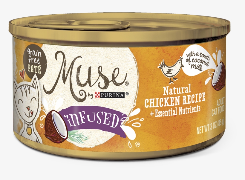 My Cat Did Not Like This - Recipe, transparent png