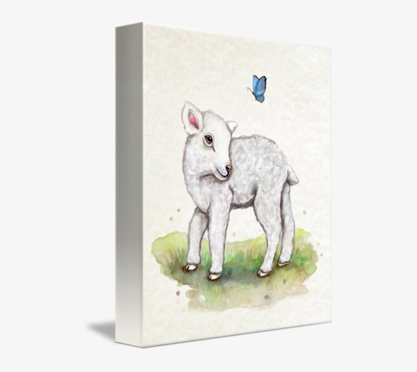 Little Lamb In Watercolor By Cheryl Marie - Sheep, transparent png