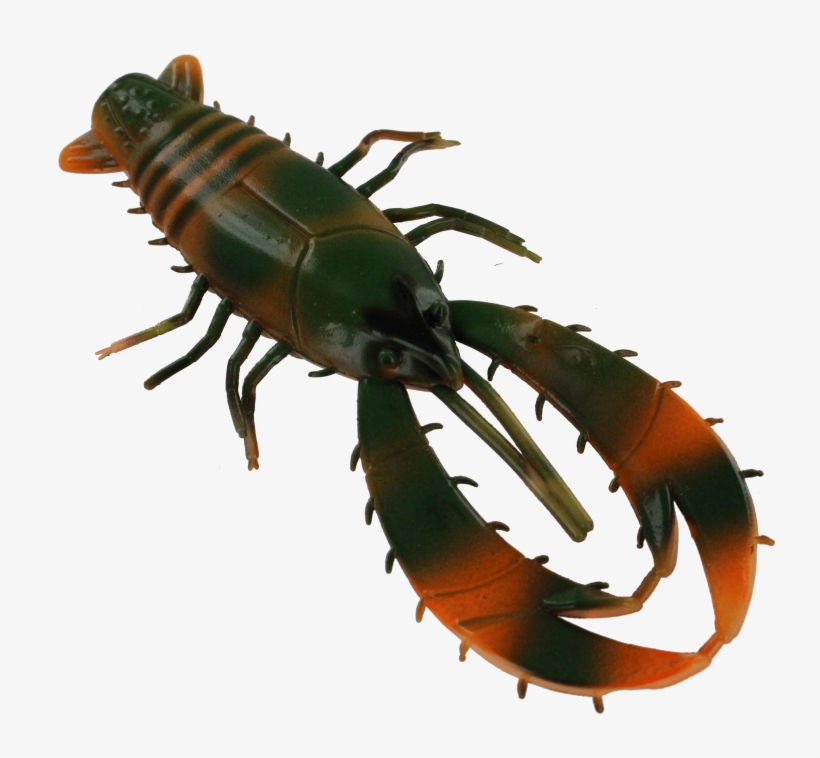 Centipede, transparent png