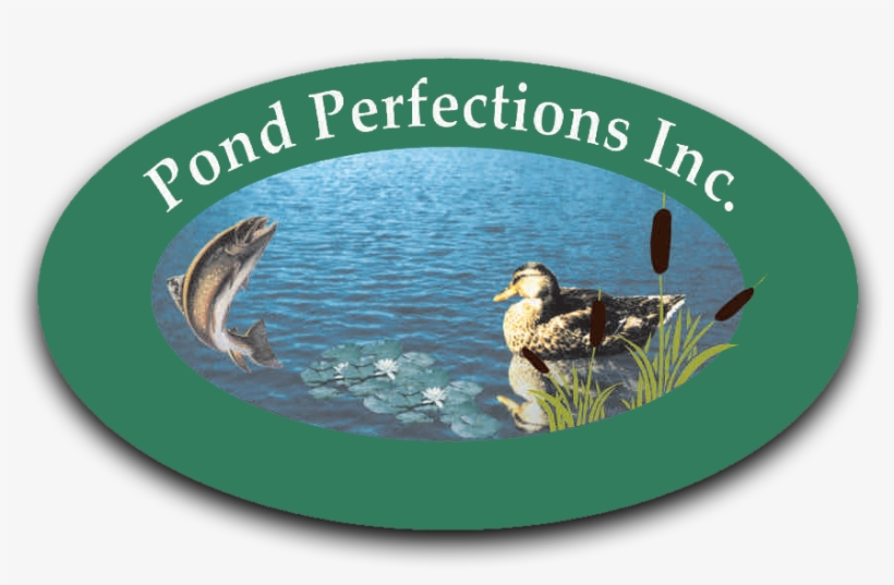 Weeds, Algae, And Sludge Gone - Mallard, transparent png