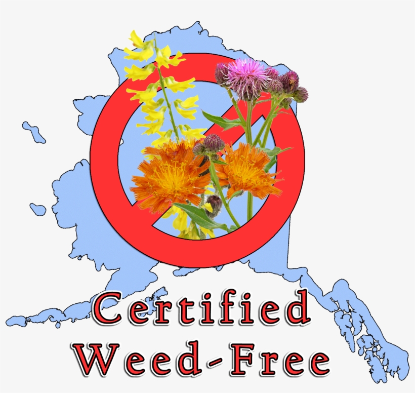 Alaska's Certified Weed-free Gravel Program Is A Voluntary - Illustration, transparent png