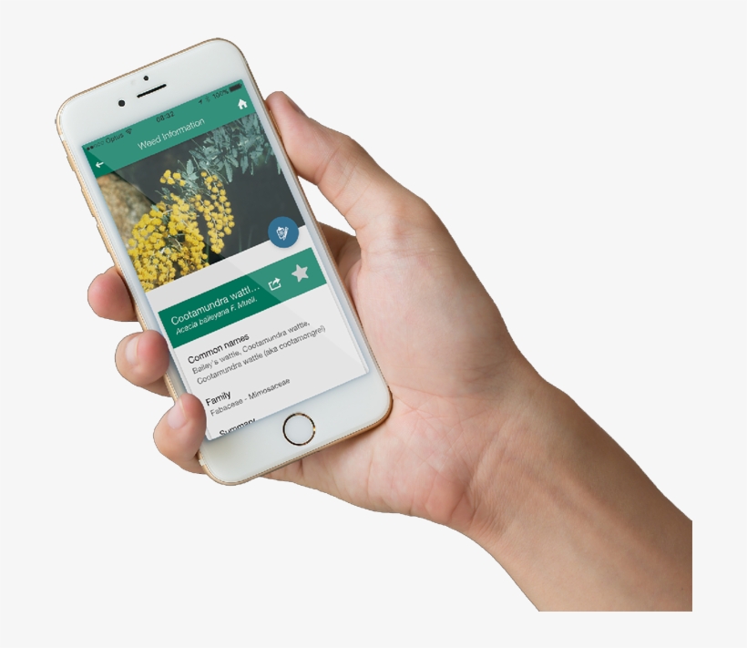Myweedwatcher App For W - Indigo Weel Application, transparent png