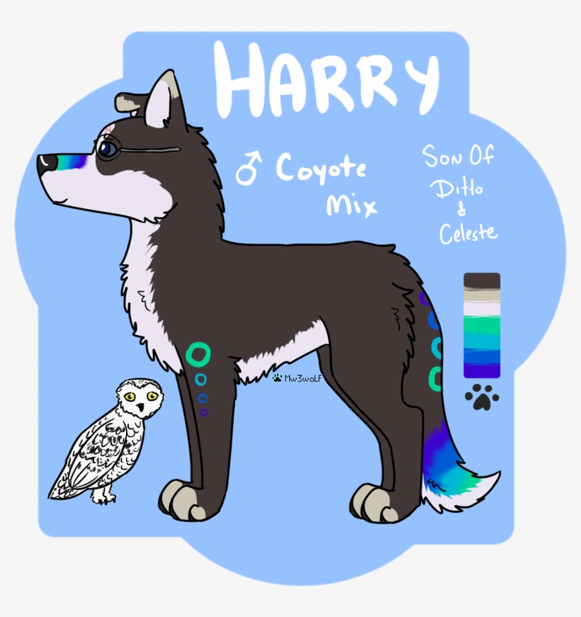 Ditto And Celeste - Sakhalin Husky, transparent png