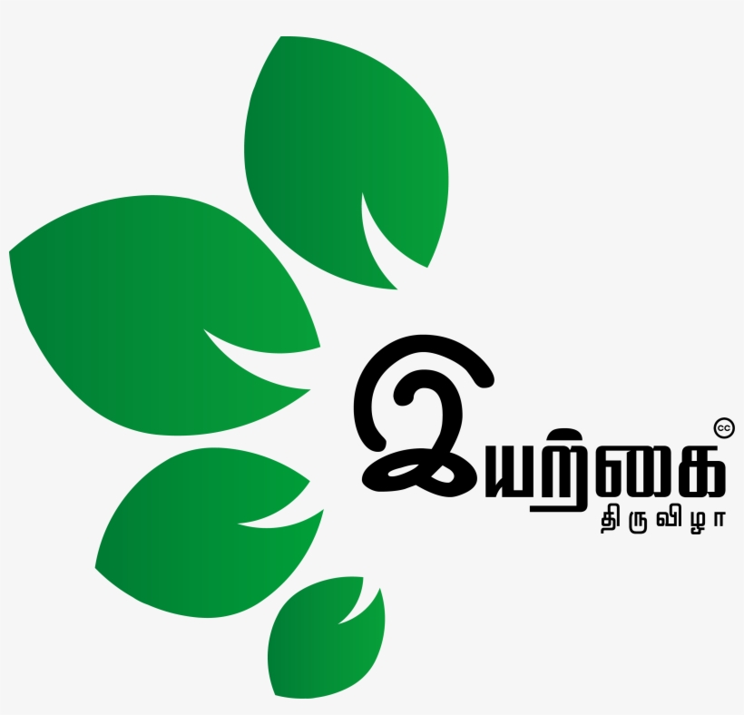 The Nature Fest - Graphic Design, transparent png