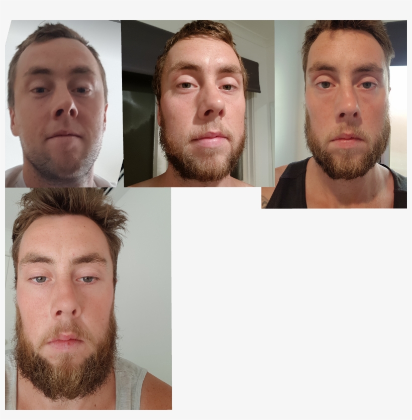 Beard-on Brothers - Collage, transparent png