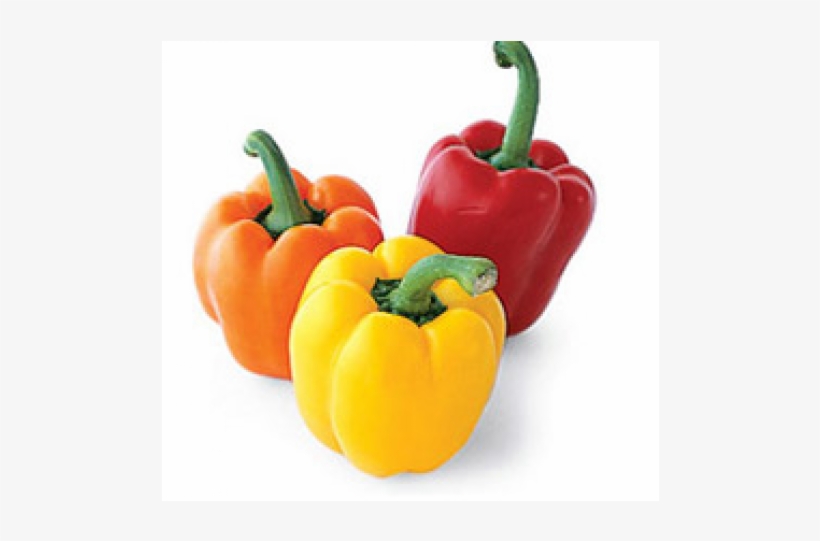 Multi Bell Sweet Peppers - Bell Peppers, transparent png