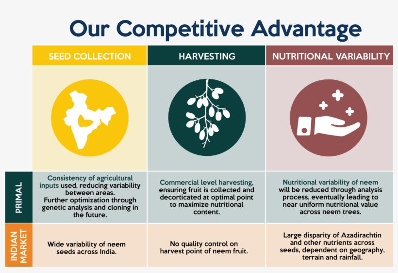 Having Realized The Role That Neem Would Play In The - Graphic Design, transparent png