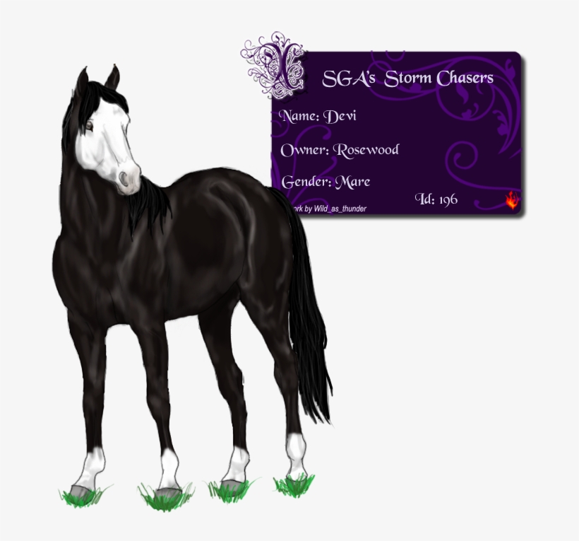 Devi Love Photo - Mane, transparent png