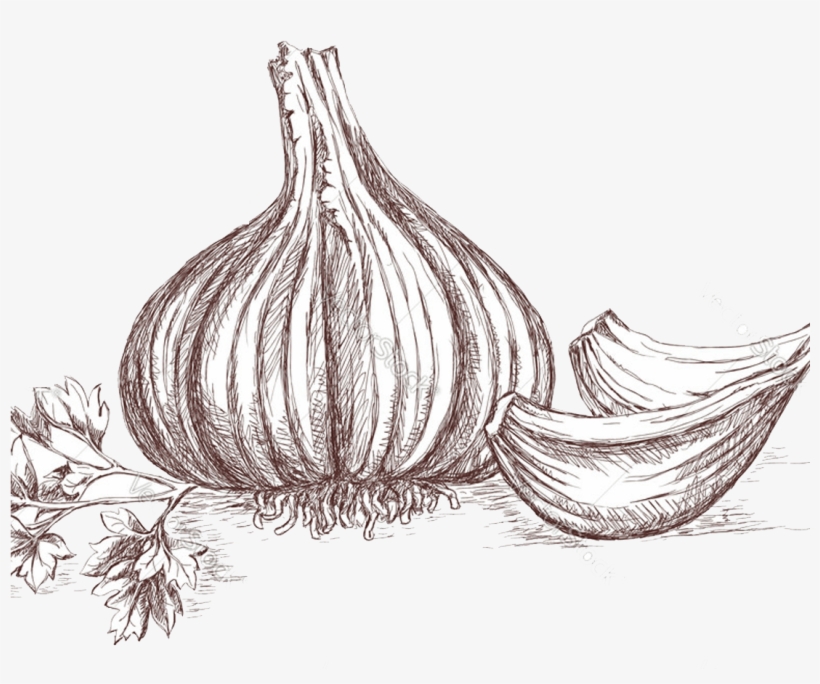 Cut Mango - Clip Art, transparent png