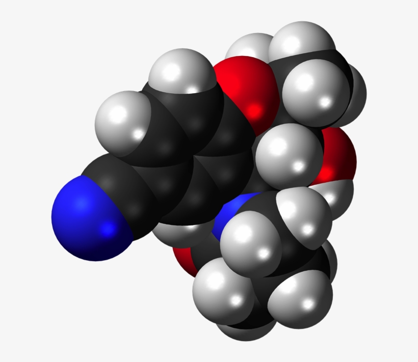 A New Synthetic Treatment Against Brain Tumors May - Illustration, transparent png